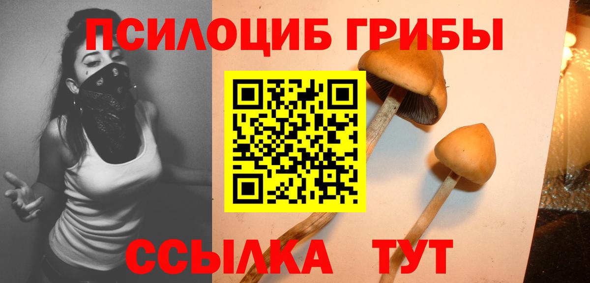 Галлюциногенные грибы Magic Shrooms  Вход с VPN  Киржач  Псилоцибиновые грибы Cubensis 